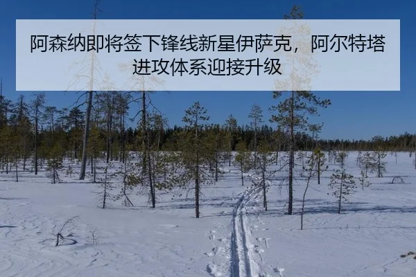 阿森纳即将签下锋线新星伊萨克，阿尔特塔进攻体系迎接升级
